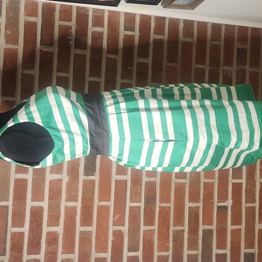 The Limited Green Sundress, size 4 - Picture 4 of 8